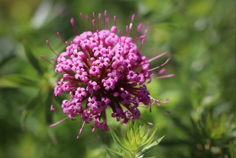 Uncover the Impact of Kali Woodruff Carr