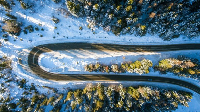 Katherine Renee Turner: The Story of Her Married Life