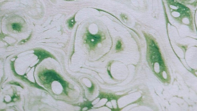 Unveiling Peyton Elizabeth Lee Ethnicity: A Diverse Heritage Explored