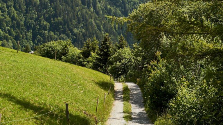 The Rise of Matt Steffanina and Destiny Kaye