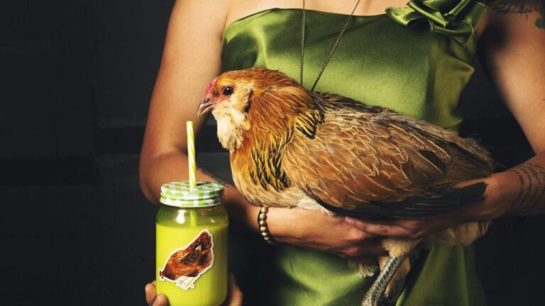 The Fascinating Story of Peyton Hillis’ Wife, Amanda Brown