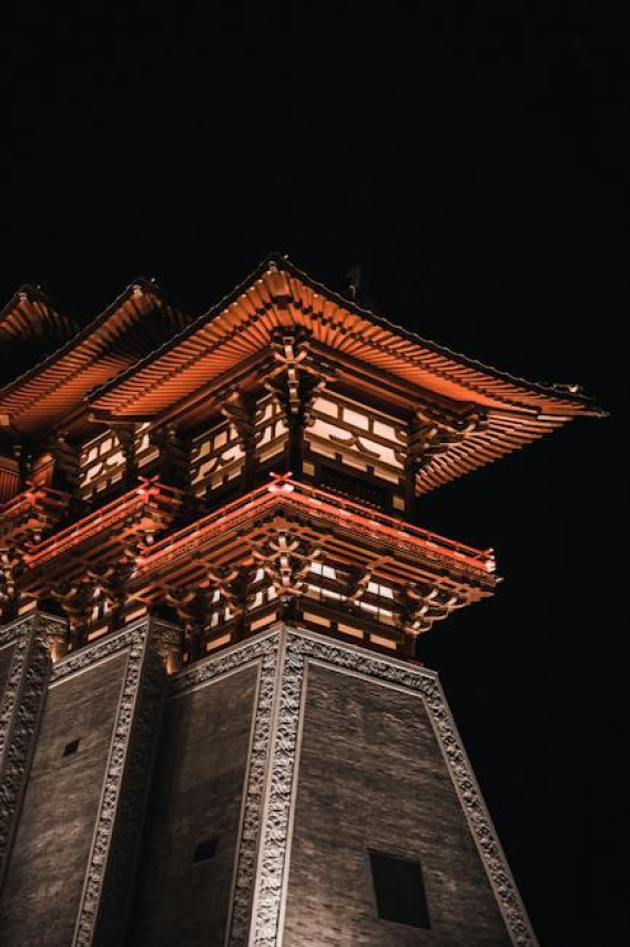 Tyler Hynes Height: The Truth Revealed