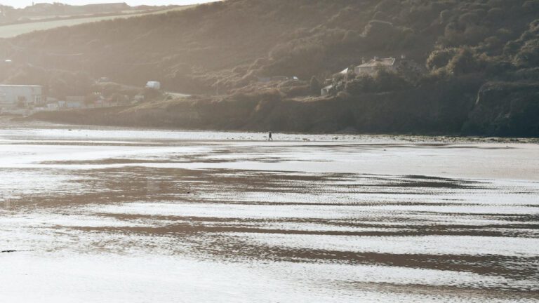 Eamonn Walker’s Wife: A Look at Their Envious Relationship