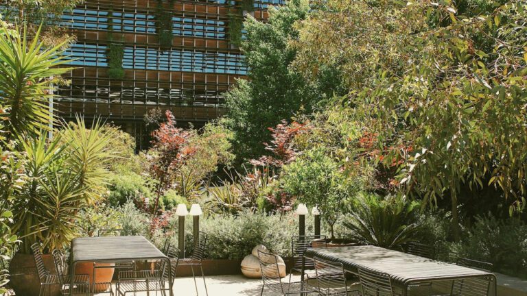 Uncovering the Nationality of Marcus Mariota: A Revealing Look