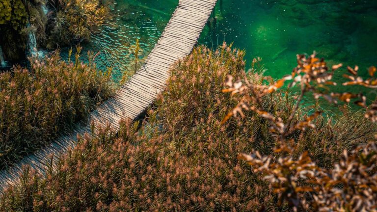 Action Bronson Height: Surprising Facts Revealed