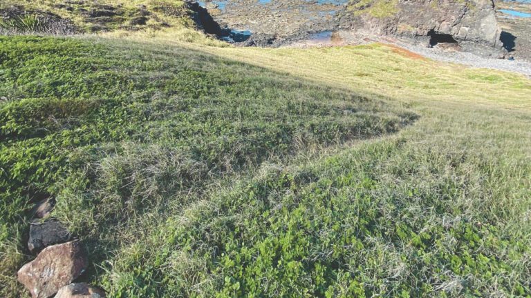 Raquel Leviss Height: The Surprising Truth Revealed