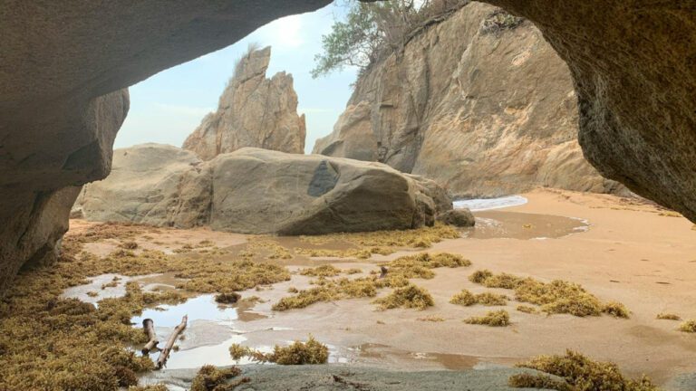 How Tall is Joseline Hernandez? Height, Measurements & More