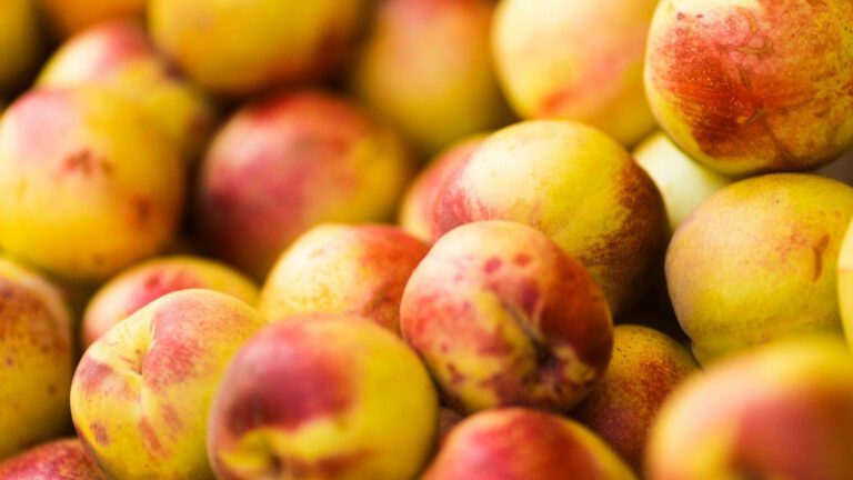 Supa Peach Net Worth: The Rising Star’s Financial Success