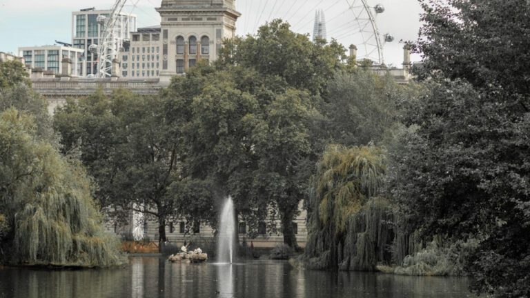 Get to Know Derwin James’ Wife: A Biography