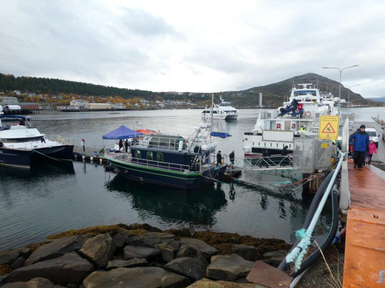 Halsey Height: The Real Measurements of the Pop Star