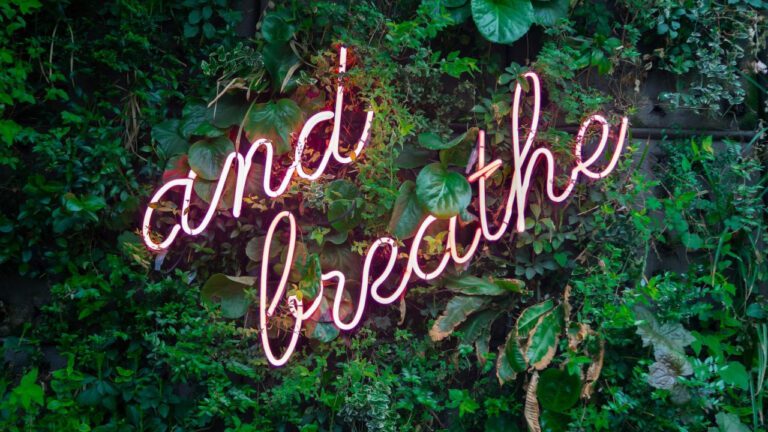 Post Malone’s Height: Uncovering the Truth