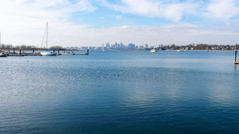 Uncovering Young MA’s Impressive Height