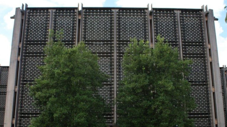 Unveiling Laroyce Hawkins Net Worth: How Rich is the Celebrity