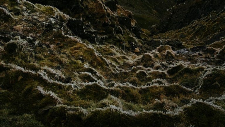 How tall is Damson Idris? Uncovering the British actor’s height in feet