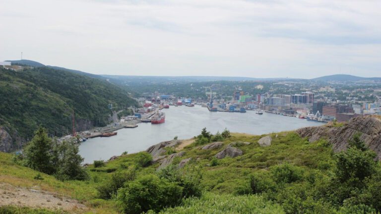 Jatavia Shakara Johnson: Biography of a Rising Star