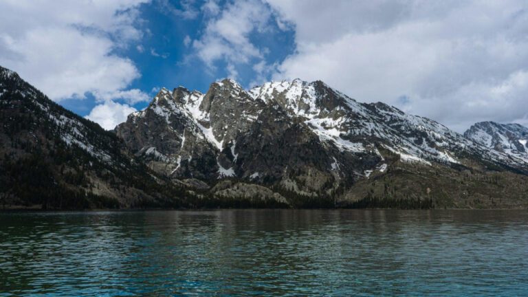 Jenny Marrs Age: All You Need to Know