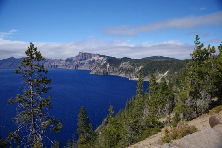 Brushing Off the Family Tree: Is Deana Carter Related to June Carter Cash