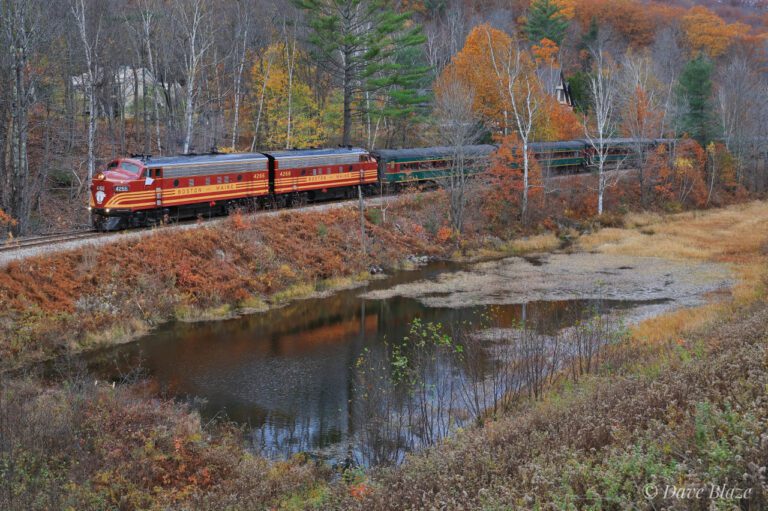 Chase DeMoor’s Parents: A Biography