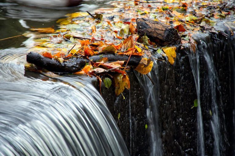 Discover the Age of Kelsey Henson: A Fascinating Look at the Life of This Remarkable Woman