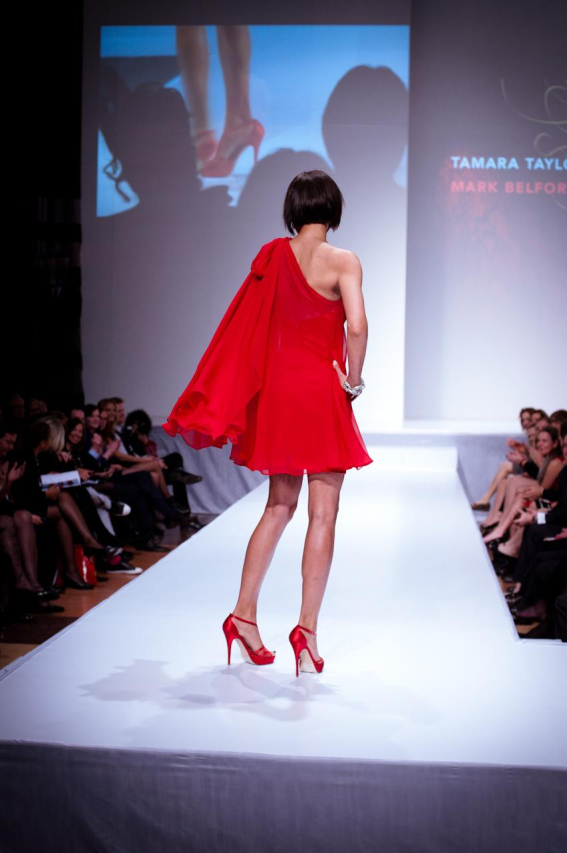 Tamara Taylor: A Look at Her Impressive Net Worth
