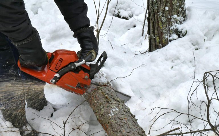 Why Chainsaws Were Created: Unleashing the Power of Destruction