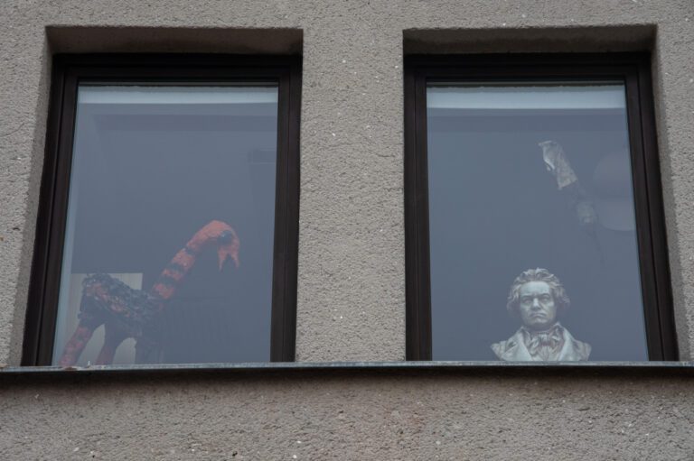 Beethoven: The Controversial Theory of His Black Heritage