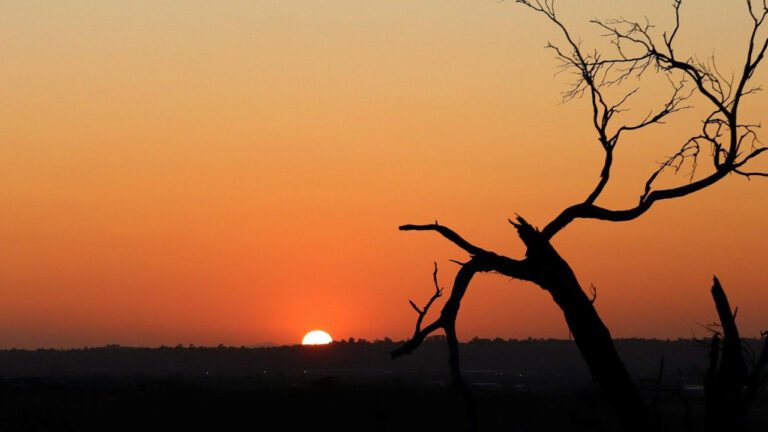 Craig Hemsworth Age: Facts About the Actor