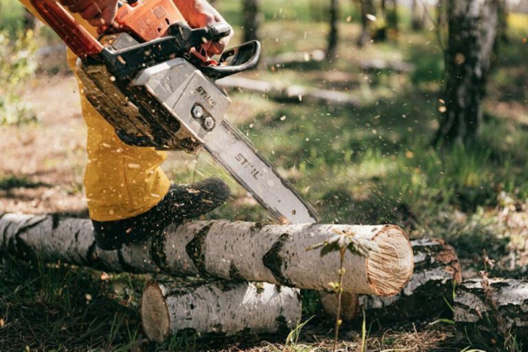 The Brutal History: Why Chainsaws Were Invented