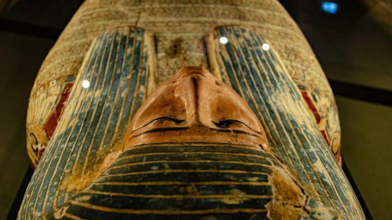 Shocking Mutter Museum Photos Expose The Raw Reality Of Life