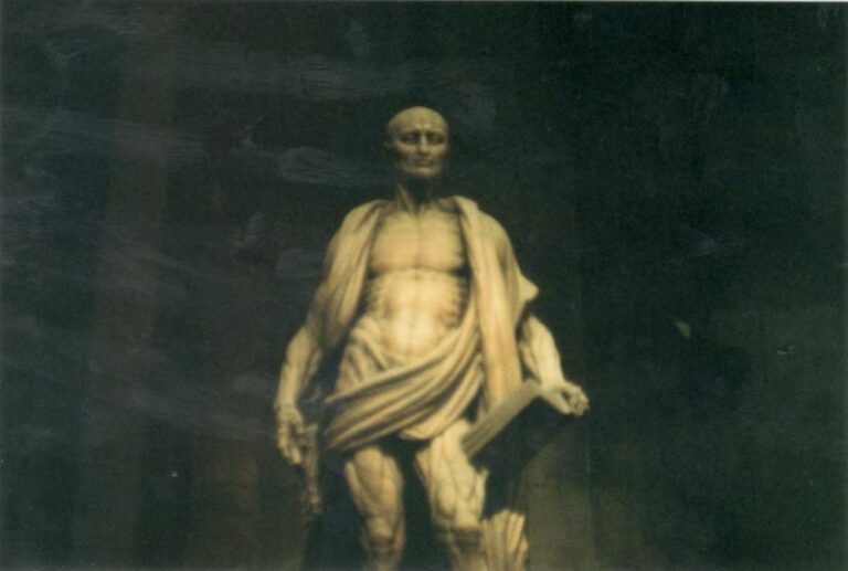 Discovering the Fascinating History of Flayed: An Intriguing Tale