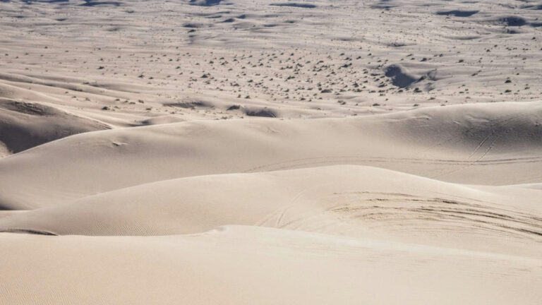 The Troubled Childhood of Ted Bundy