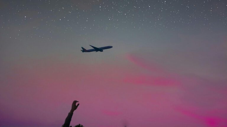 Tragic End: Wrestler’s Fatal Fall