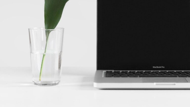 Bernie Mac’s Age at Death: Tragic Loss at 50