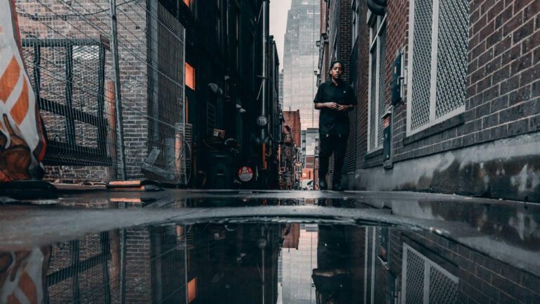 The Unveiling of Charla Nash’s New Face