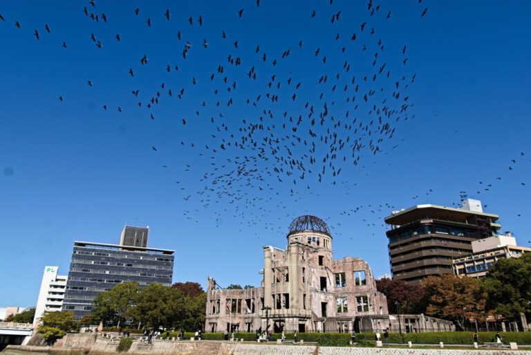 Unveiling the Shadows from Hiroshima