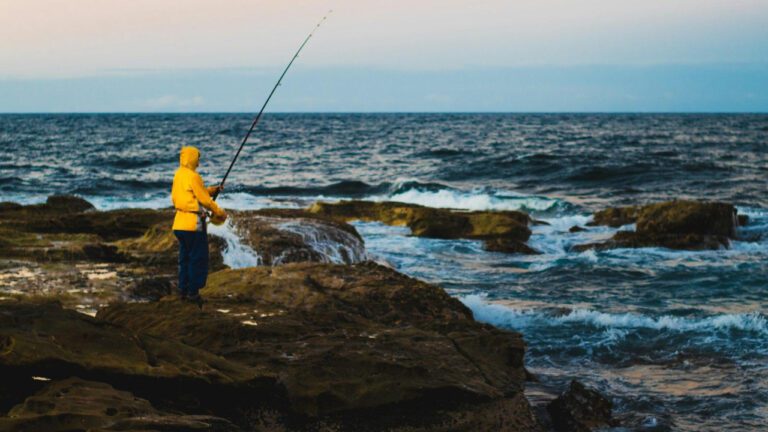 The Tragic Victims of Shelly Knotek: A Biographical Account