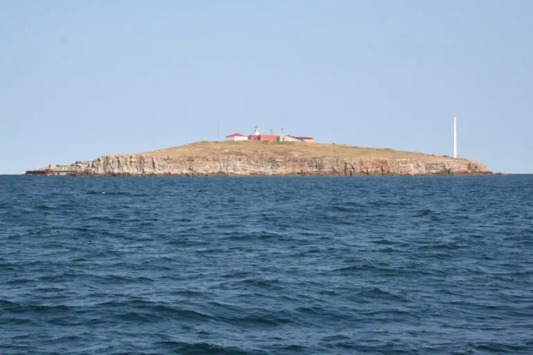 Exploring Snake Island: A Photographic Journey