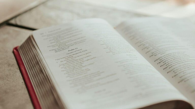 Nabil David Huening: The Rising Star You Need to Know