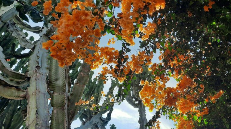 The Shocking Wealth of Carla Diab: How Much Is She Really Worth