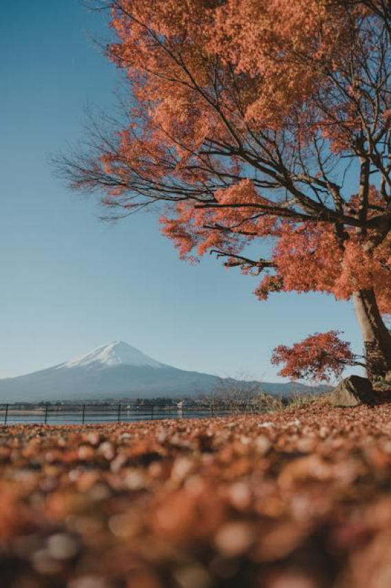 Dylan Eason: The Misunderstood Genius of our Generation