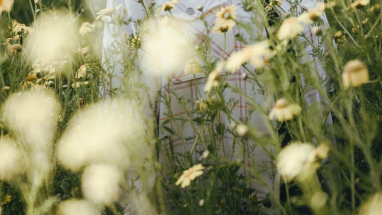 Melancholic Melodies: Romantic Rainy Day Song Lyrics