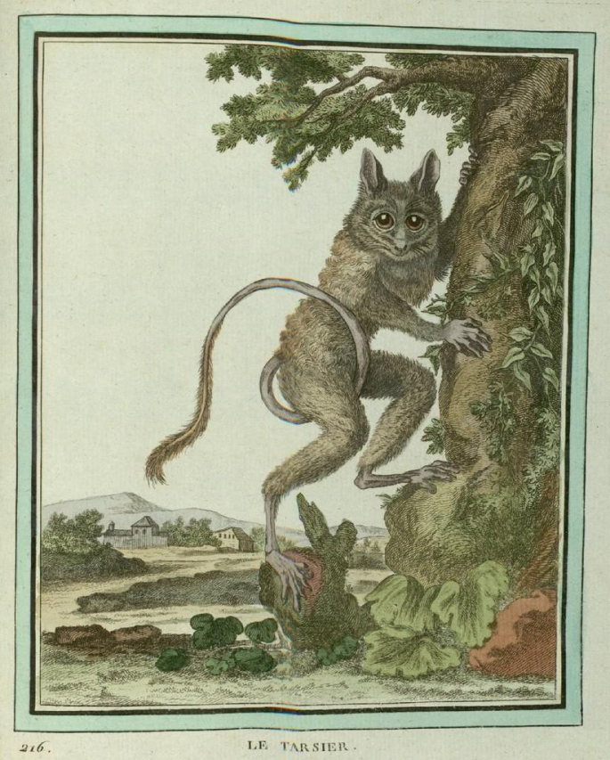 The Incredible Tale of Tarrare: Unraveling France’s Bizarre Man with Insatiable Appetite