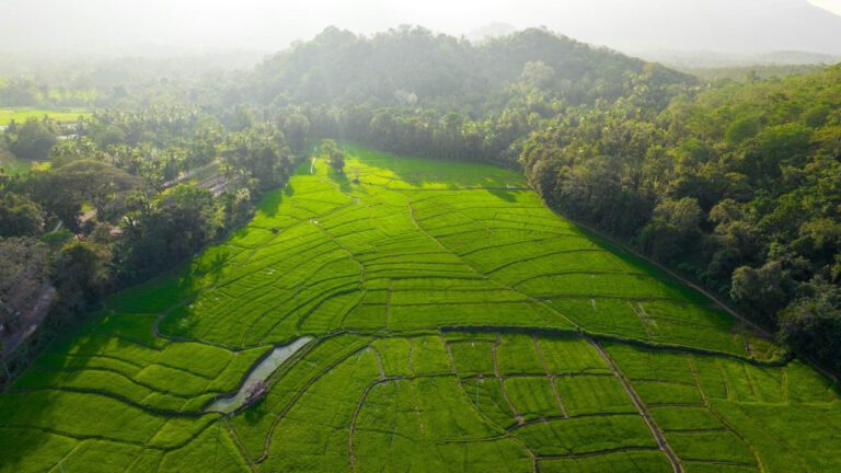 Lose Yourself in the Enchanting Melodies of ‘Don’t Dance’ Lyrics