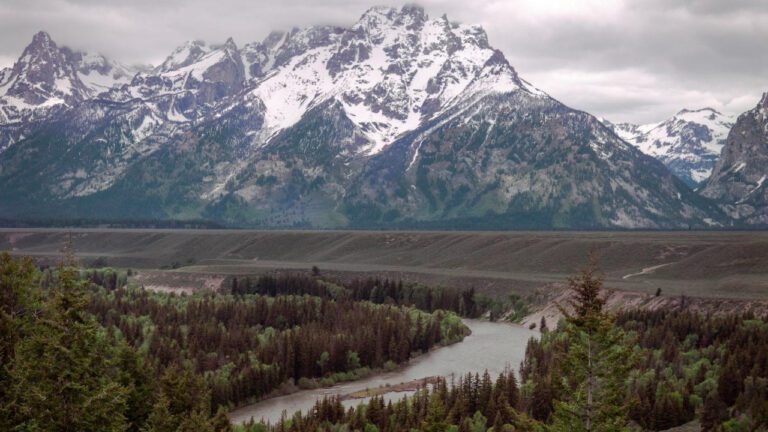 Captivating Lyrics of Janet Jackson’s ‘Doesn’t Really Matter’: Enchanting Romantic Melodies