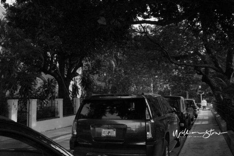 Embrace The Lyricism of ‘Let Me Into Your Heart’ – Unveiling Captivating Love’s Anthem