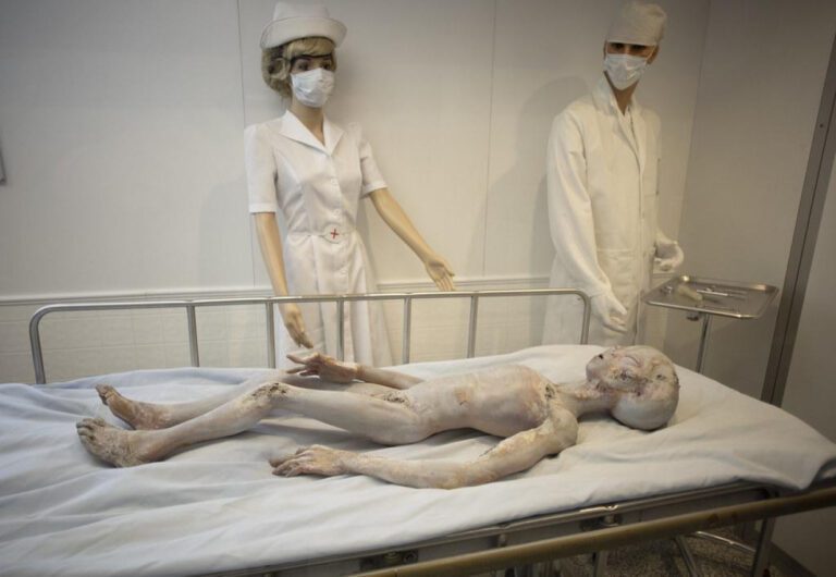 Unveiling the Chilling Secrets: Infamous Autopsy Photos Reveal Shocking Stories