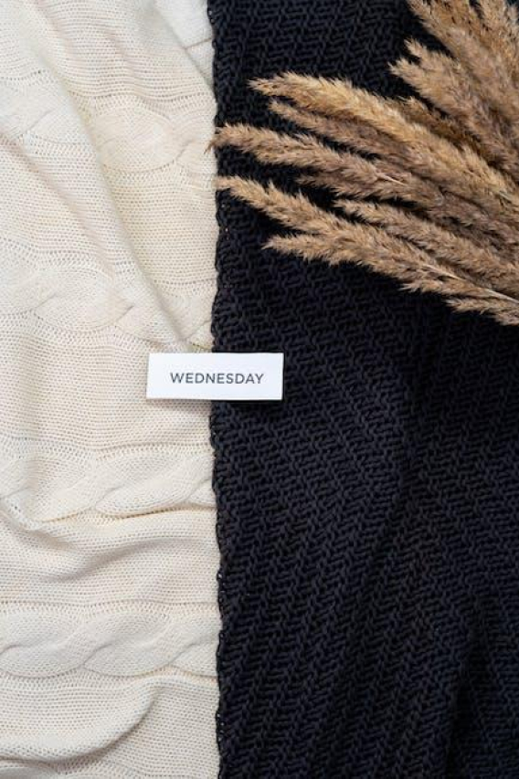 The Iconic Wednesday Adams Dress: Origins, Style, and Where to Find It