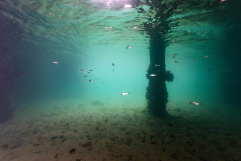 Exploring the Enigmatic Underwater Lake Lanier: Discover the Hidden Depths