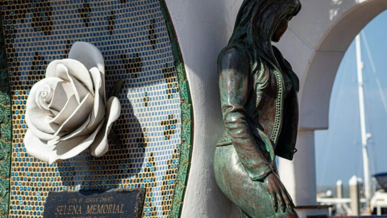 Discover Selena Gomez’s Natural Beauty with No Makeup Look