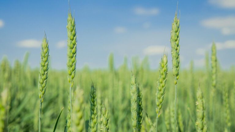 Unlocking April’s Merriments: A Candid Guide to Springtime Celebrations